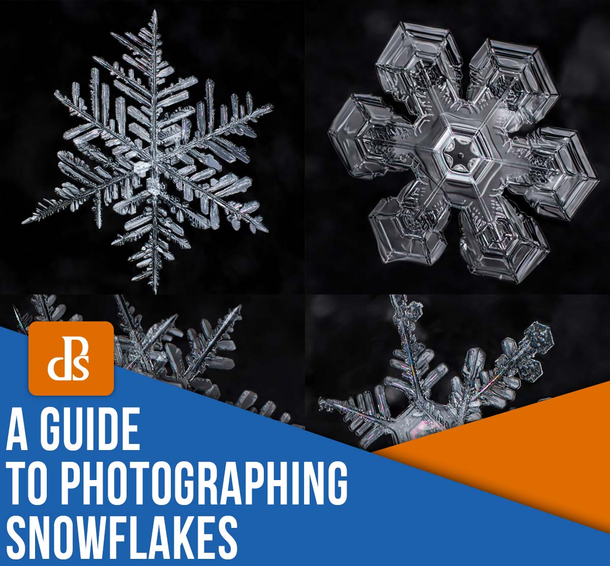 un guide pour photographier des flocons de neige